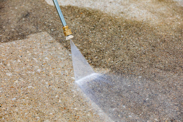 Best Soft Washing  in Glenwood, MN