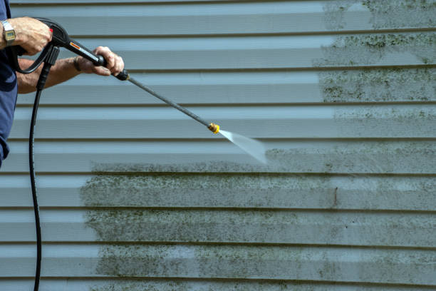Best House Exterior Washing  in Glenwood, MN