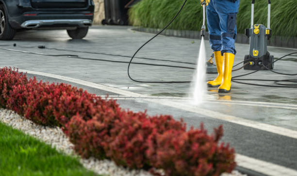 Best Dumpster Area Cleaning  in Glenwood, MN